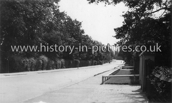 High Road, Buckhurst Hill, Essex. c.1908